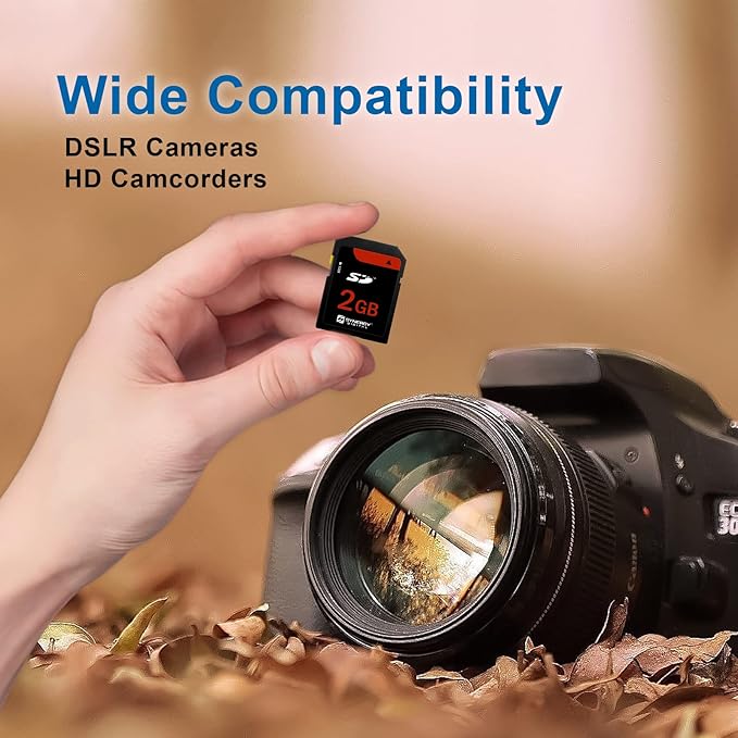 Panasonic Lumix DMC-GH4 Digital Camera Memory Card 2GB Standard Secure Digital (SD) Memory Card