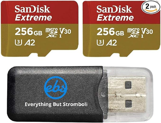 SanDisk Extreme V30 A2 (2 Pack) 256GB MicroSD Card for DJI Mavic Mini 2, Mavic Mini, Mavic Air 2 Drone - C10 U3 A2 (SDSQXA1-256G-GN6MN) Bundle with 1 Everything But Stromboli Micro Memory Card Reader