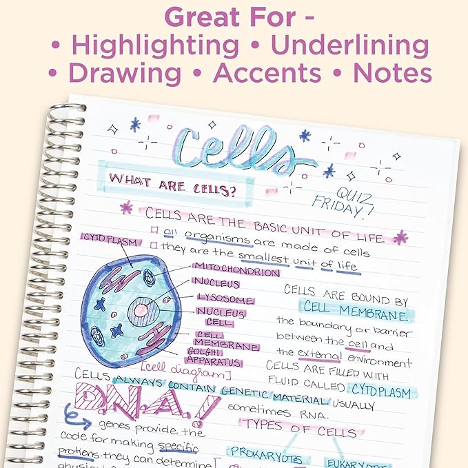 Zebra Pen Mildliner Dual-Tip Highlighter Set, Broad and Fine Tips, No Bleed, Ideal for Bible Highlighting, Journaling, School and Office Supplies, Assorted Ink in Carrying Case, 25-Pack (78025)