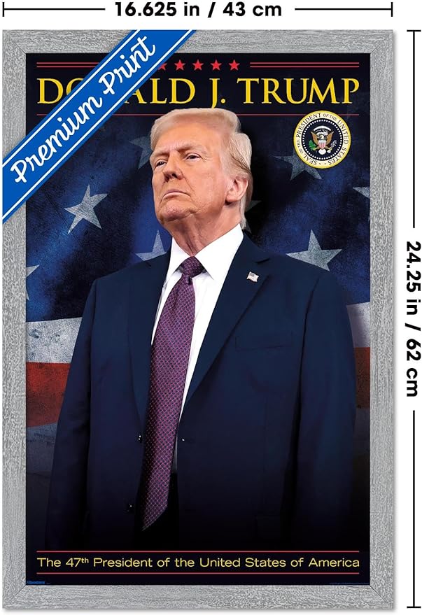 President Donald Trump - 47th President Wall Poster, 22.4L" x 14.7W", Gray Framed Version