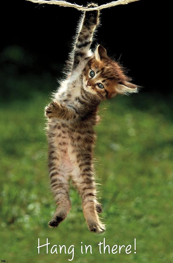 Trends International Kitten-Hang in There Premium Wall Poster, 22.375" x 34"