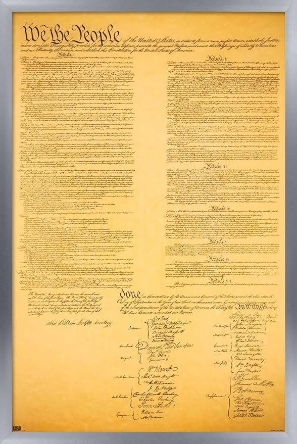 Trends International The Constitution Wall Poster, 22.375" x 34", Silver Framed Version