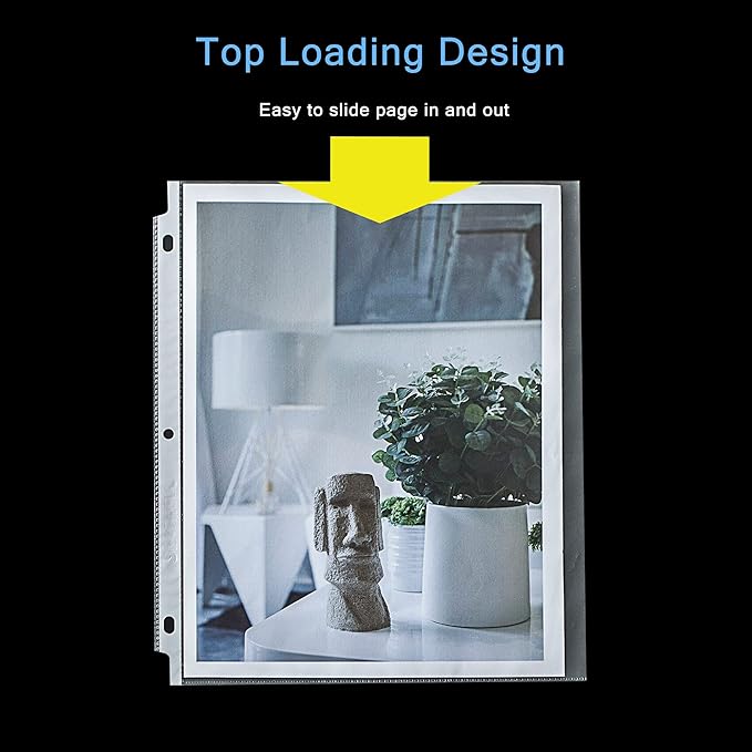 Seashell 100 Economy Non-Glare Sheet Protectors, Plastic Page Protectors for 3 Ring Binder, Letter Size, Top Loading, 3 Hole Punched, Binder Sleeves for 8.5 x 11 Paper, for School and Office use…