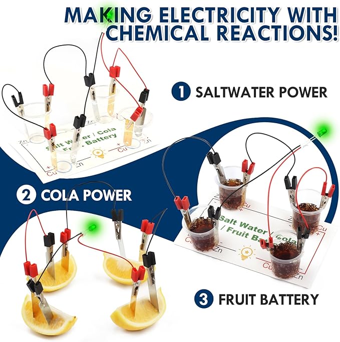 Science Circuit Kit Electricity for Kids, STEM Electrical Light Bulb Experiment, Electric Science Gifts Fair Project Kits Age 8-12, Fruit Energy Experiments Circuits Engineering Projects