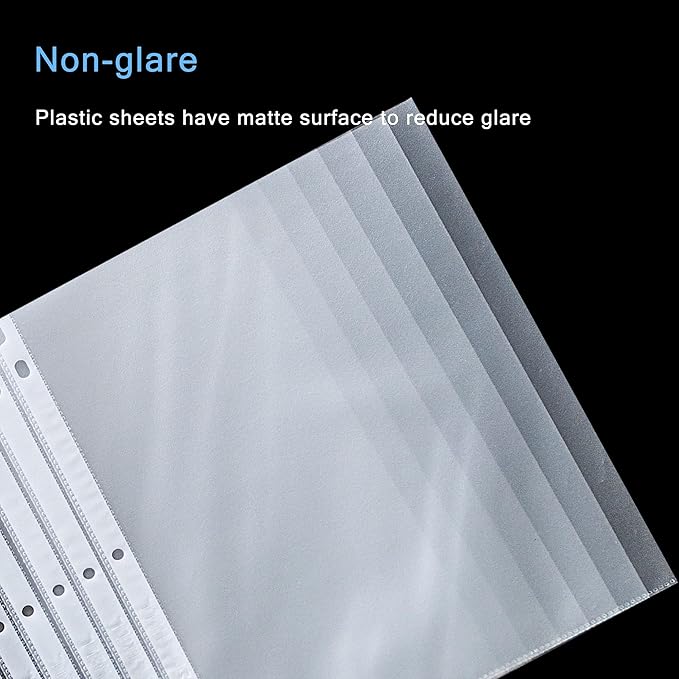 Seashell 100 Economy Non-Glare Sheet Protectors, Plastic Page Protectors for 3 Ring Binder, Letter Size, Top Loading, 3 Hole Punched, Binder Sleeves for 8.5 x 11 Paper, for School and Office use…