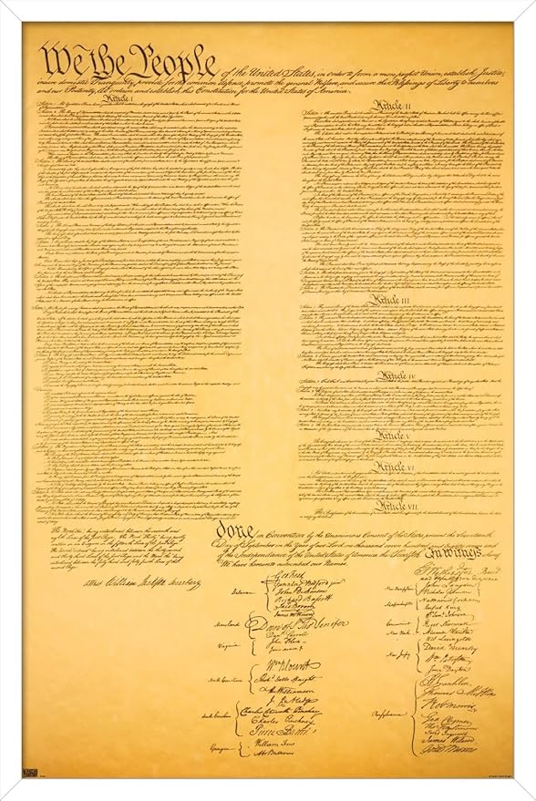 Trends International The Constitution Wall Poster, 14.725" x 22.375", White Framed Version