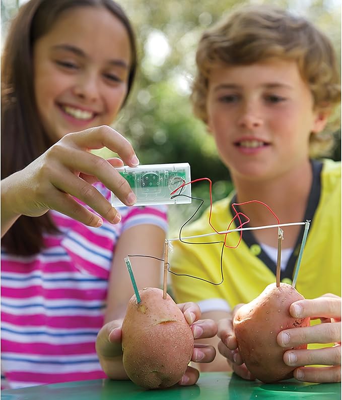 4M: Green Science: Potato Clock - DIY & Experience Battery-Free Renewable Energy, Power A Digital Clock, STEM Learning Craft Activity Kit, Kids Age 5+