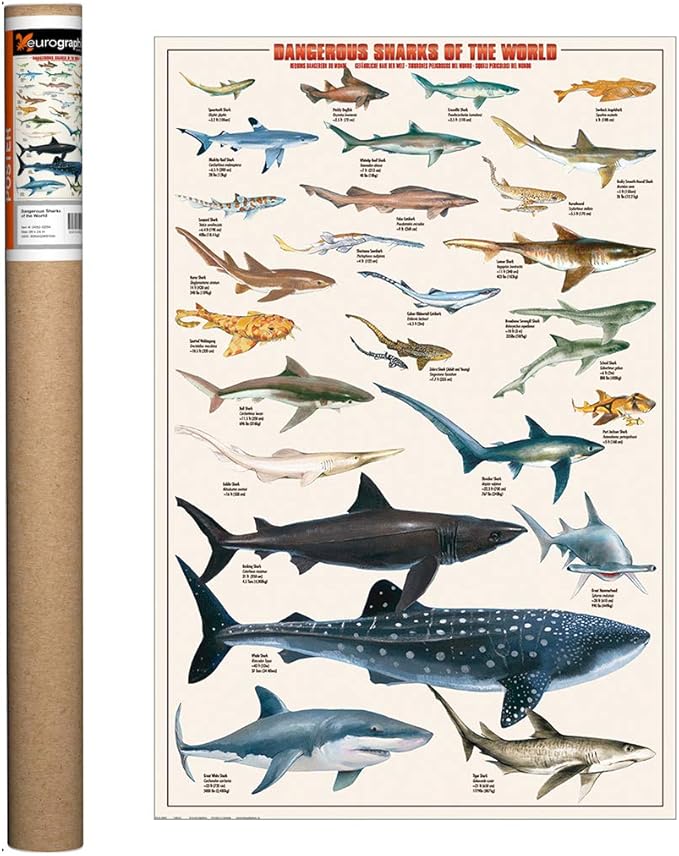 EuroGraphics Dangerous Sharks Poster, 36 x 24 in Beige