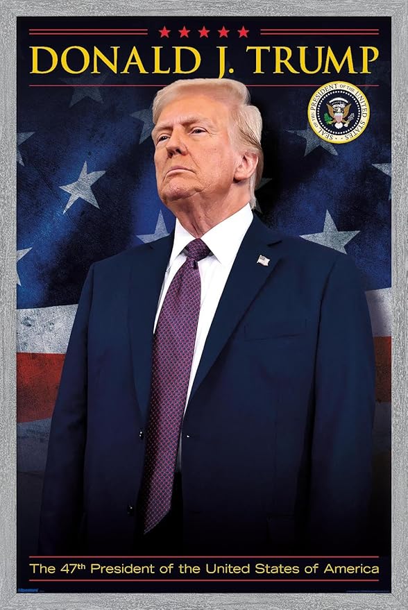 President Donald Trump - 47th President Wall Poster, 22.4L" x 14.7W", Gray Framed Version