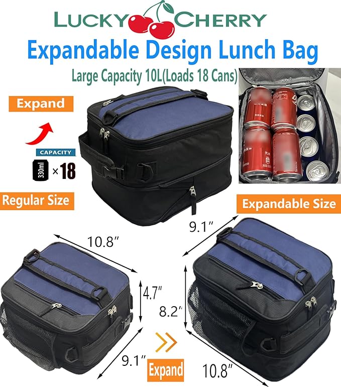 Lunch Box Insulated Lunch bag for Men Teen Kids Boys Adult Portable Stylish Small Lunchbox Special Design for Working Office school Picnic