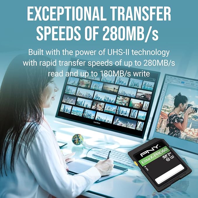 PNY 512GB EliteX-PRO60 UHS-II SDXC Memory Card - R280MB/s W150MB/s, U3, V60, 4K UHD, Full HD, UHS-II for Professional Photographers & Content Creators, DSLR Mirrorless Cameras, Advanced Video Cameras