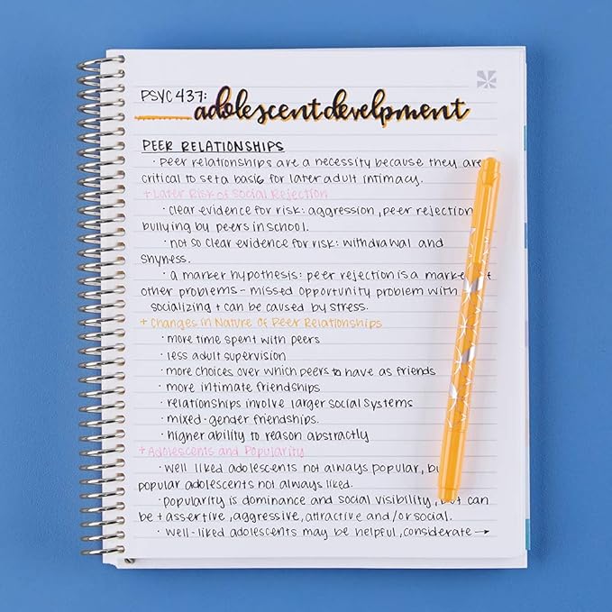 Erin Condren 7" X 9" Spiral Bound College Ruled Notebook - Starry Sky, 160 Lined Page Note Taking & Writing Notebook, 80Lb Thick Paper, Stickers Included