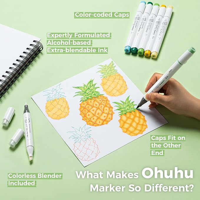 Ohuhu Alcohol Markers Brush Tip, AP Certificated 24 Basic Colors Double Tipped Alcohol Based Art Marker Set for Artist Sketching Adult Coloring Illustration - Brush and Chisel Dual Tips - Honolulu
