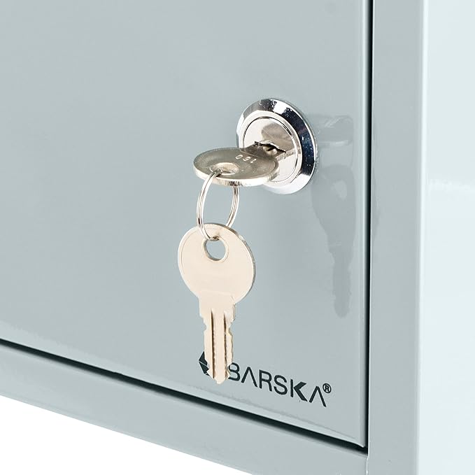 Barska Wall Mount Multi-Purpose Locking Mail Suggestion Drop Box with Key Lock for Home Office Classroom