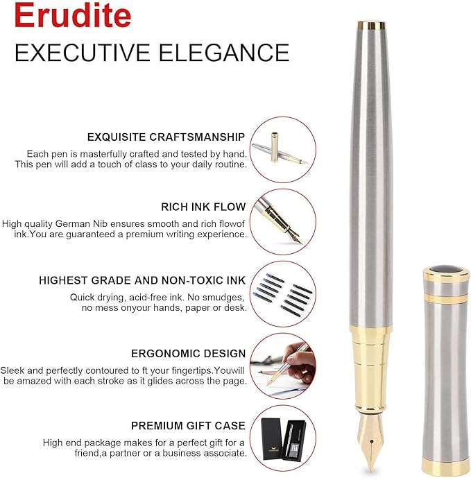 Cheericome Luxury Fountain Pen Set - Smooth Writing Fountain Pen Fine Nib, Includes 10 Ink Cartridges and Ink Refill Converter - Silver