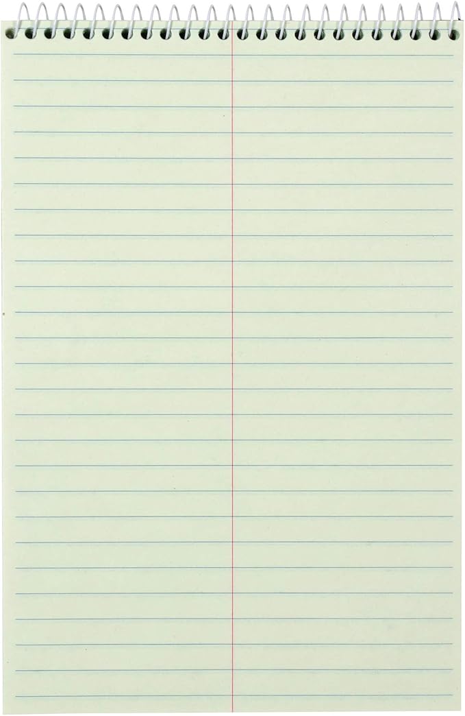 Amazon Basics Steno Notebooks, Gregg Rule, Green Paper for Notes, 80 Sheets, 6" x 9", 12-Pack