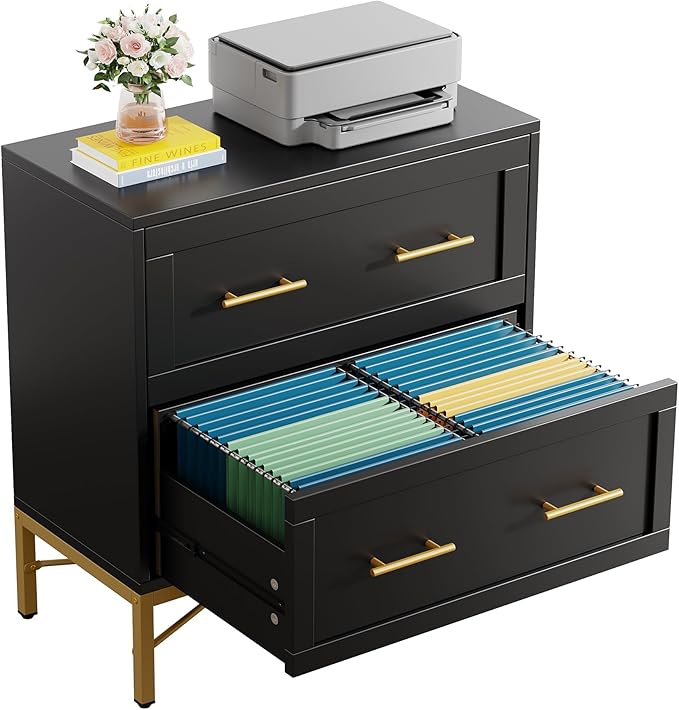 Tribesigns 2 Drawer File Cabinet, Modern Wood Lateral Filing Cabinet for Letter/Legal/A4 Size, Large File Storage Cabinets Printer Stand with Storage for Home Office, Black and Gold