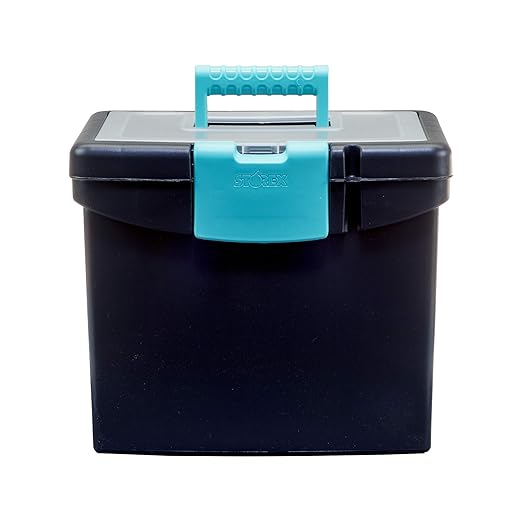 Storex File Storage Box with XL Storage Lid, 10-7/8 x 13-1/4 x 11 Inches, Black/Teal
