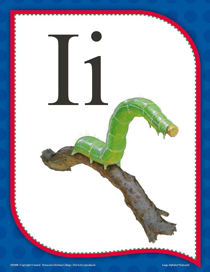 Large Alphabet Flashcards - Abeka Kindergarten 1st and 2nd Grade 1, 2 Letter Recognition Reading Program Large Letter Cards