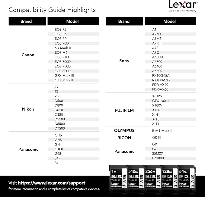 Lexar 256GB Professional Silver SD Card, UHS-I, C10, U3, V30, 4K, Up to 205/140 MB/s SDXC Memory Card, for Photographer, Videographer, Enthusiast (LSDSILV256G-BNNNU)