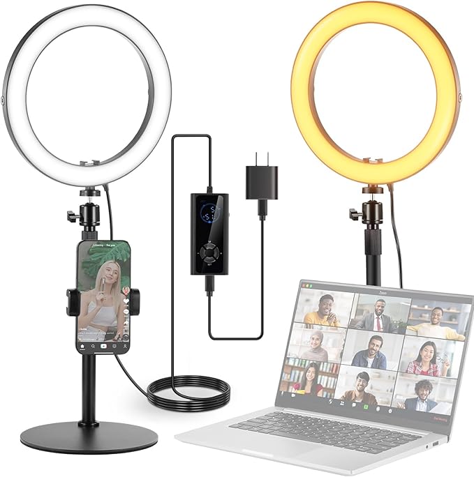 NEEWER 10" 20W LED Ring Light with Desk Stand Phone Holder for iPhone Laptop, Bi Color 2900K-7000K, USB C PD Input, CRI97+ 1660LX/0.5m, Selfie Makeup TikTok Recording Video Conference Lighting, RH10B