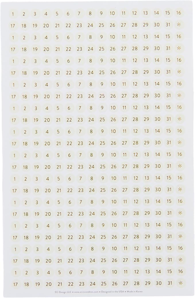Year In Preview Petite Planner - Waveform
