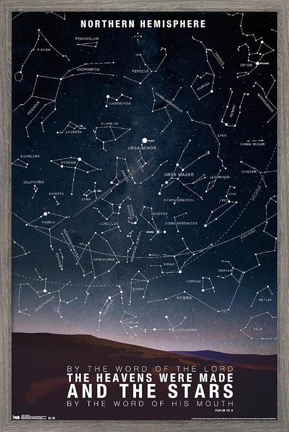 The Stars Wall Poster, 22.4L" x 14.7W", Barnwood Framed Version