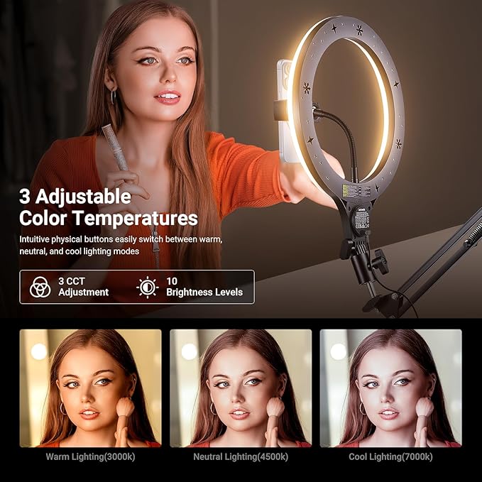 NEEWER Entry Level Version 10.5" Overhead Desktop LED Ring Light, Clamp Stand for Desk/Remote/Phone Holder Compatible with iPhone, 10W Streaming Recording Selfie Laptop Video Conference Lighting, N31
