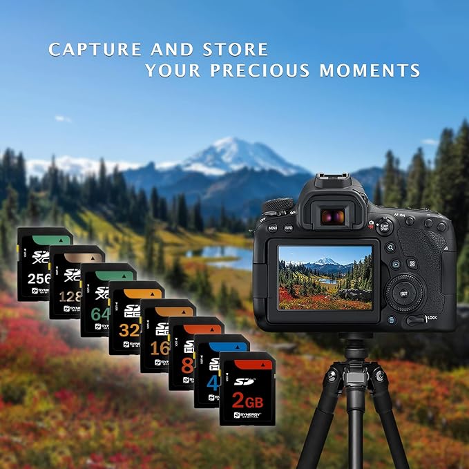 Transcend SD 32GB Card Works With Sony Cyber-shot DSC-W800 Digital Camera Memory Card 32GB Secure Digital (SDHC) Flash Memory Card