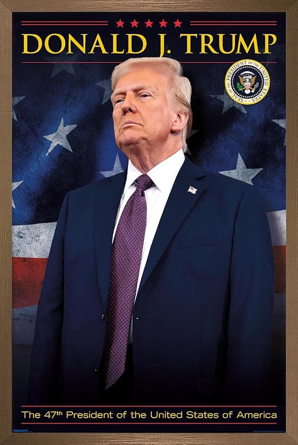 President Donald Trump - 47th President Wall Poster, 22.4L" x 14.7W", Bronze Framed Version