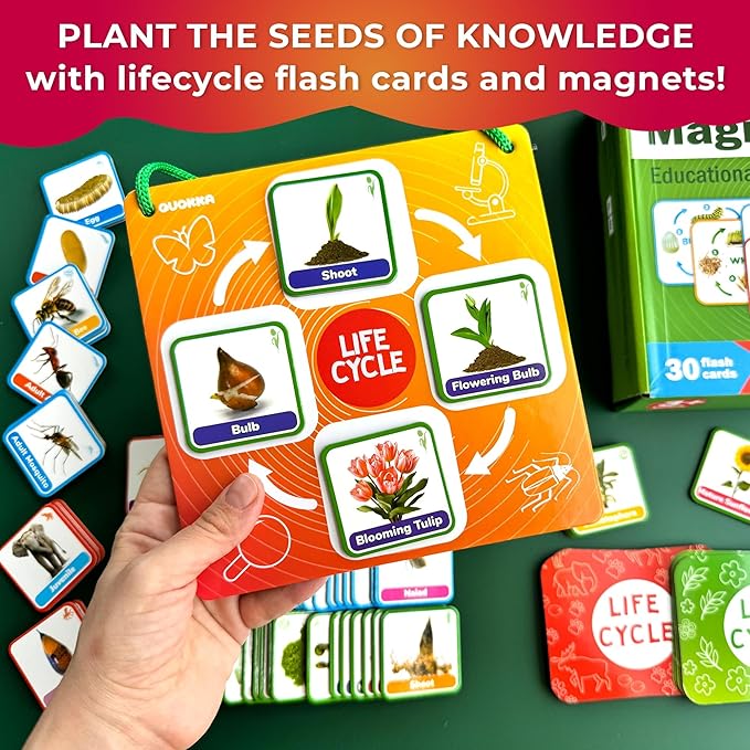 QUOKKA Life Cycle Kit Toy Montessori - 30 Flash Cards Toddler Science Activities for Kids Ages 2-4 - Prek Animal Learning Materials 3-5 - 120 Magnetic Toddler Classroom Must Haves for Preschool