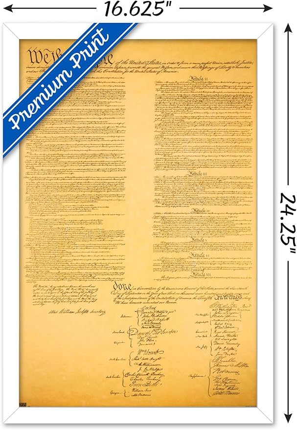 Trends International The Constitution Wall Poster, 14.725" x 22.375", White Framed Version