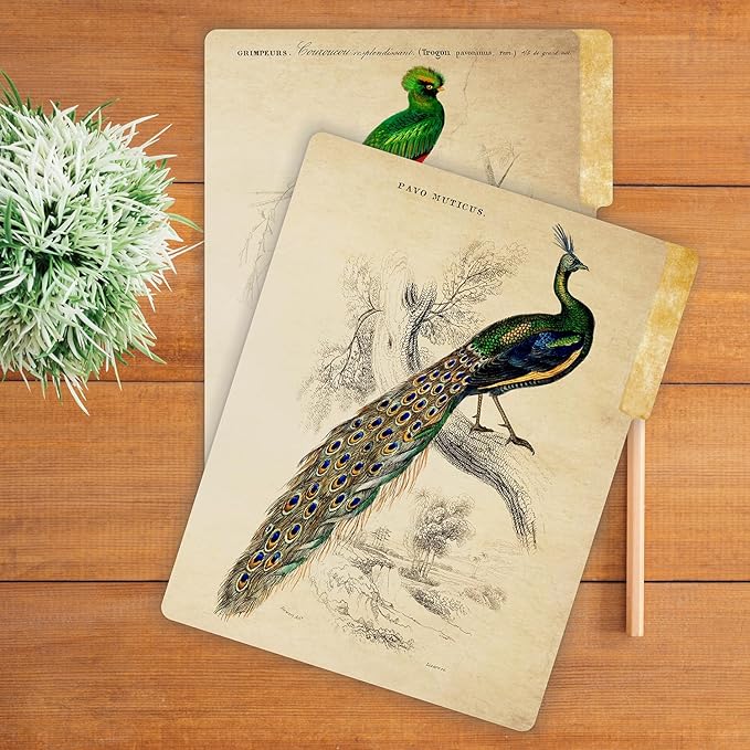 PARTH IMPEX 12 Pack Decorative File Folders, 1/3 Cut Tab with Assorted Positions, Letter Size Paper Holders (9.75” x 11.75”) Matte Finish Laminated for Office School Work - Vintage Birds Design
