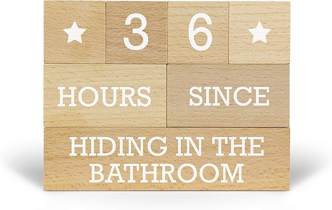 Genuine Fred Who's Counting Wooden Countdown Blocks, Parenting Edition, Assorted, 5281072