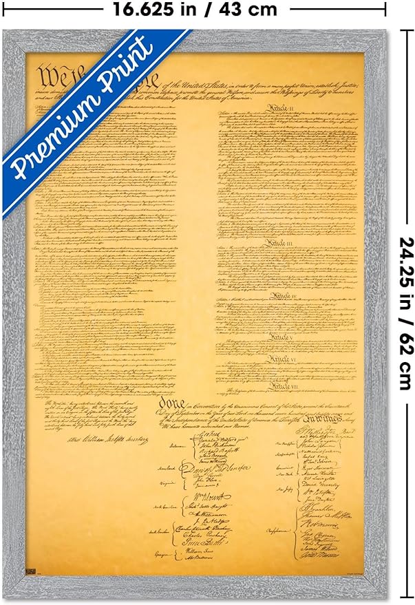 The Constitution Wall Poster, 22.4L" x 14.7W", Gray Framed Version