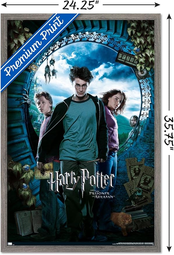 Trends International Harry Potter and the Prisoner of Azkaban - Sky One Sheet Wall Poster, 22.37" x 34.00", Barnwood Framed Version