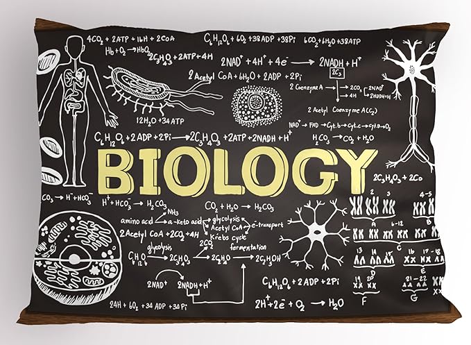 Ambesonne Educational Pillow Sham, Black Chalkboard Biology Hand Written School Classroom, Decorative Standard Size Printed Pillowcase, 26" X 20", Black Brown Pale Yellow