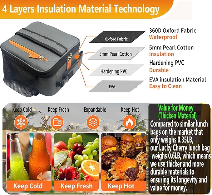 Lunch Box Insulated Lunch bag for Men Teen Kids Boys Adult Portable Stylish Small Lunchbox Special Design for Working Office school Picnic