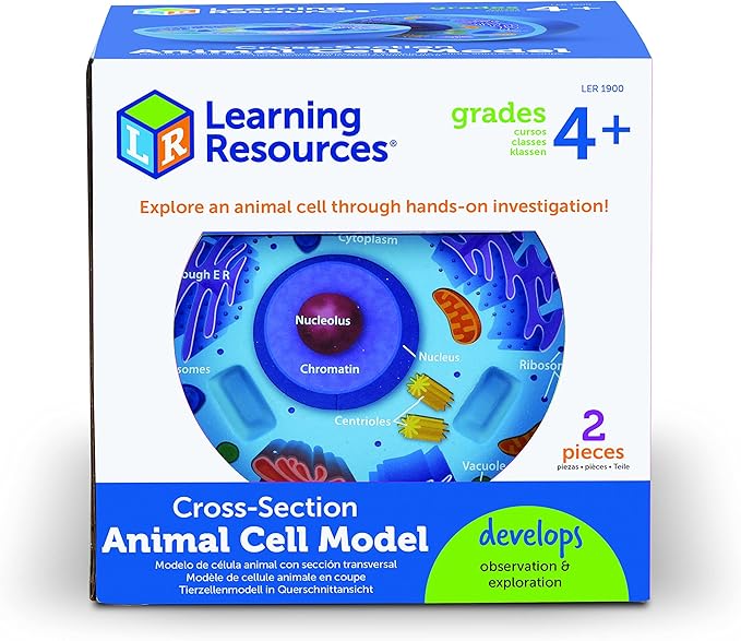 Learning Resources Cross-Section Animal Cell Model - STEM Biology Gifts, Molecular Science Activities , Microbiology ,Classroom and Teacher Must Haves, Homeschool Materials, Model Kit Tools