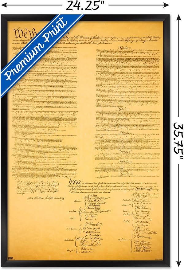 Trends International The Constitution Wall Poster, 22.375" x 34", Black Framed Version