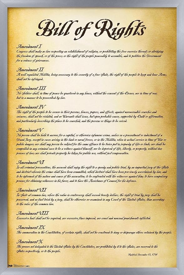 Trends International The United States of America - Bill of Rights Wall Poster, 22.375" x 34", Silver Framed Version
