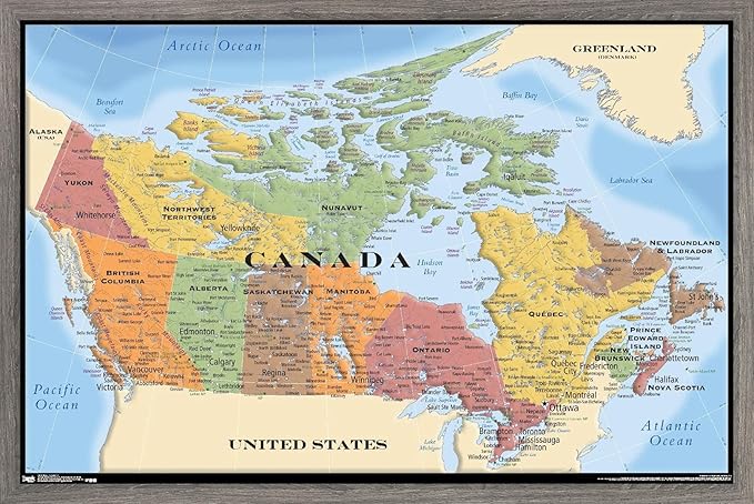 Map - Canada Wall Poster, 22.4L" x 14.7W", Barnwood Framed Version