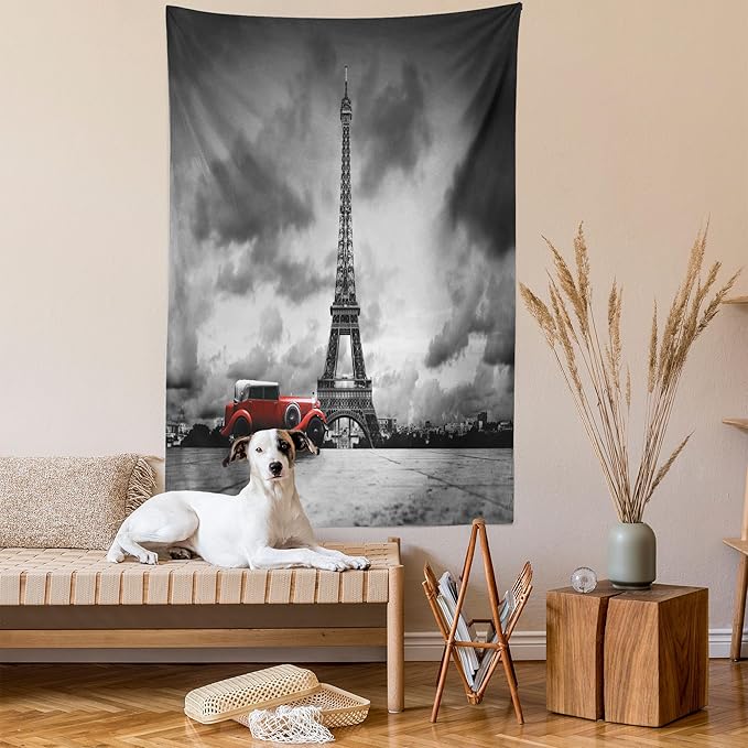 Ambesonne Eiffel Tower Tapestry, Image of Eiffel Tower Paris France Vintage Car Street Dark Clouds, Fabric Wall Hanging Decor for Bedroom Living Room Dorm, 30" X 45", Black Red