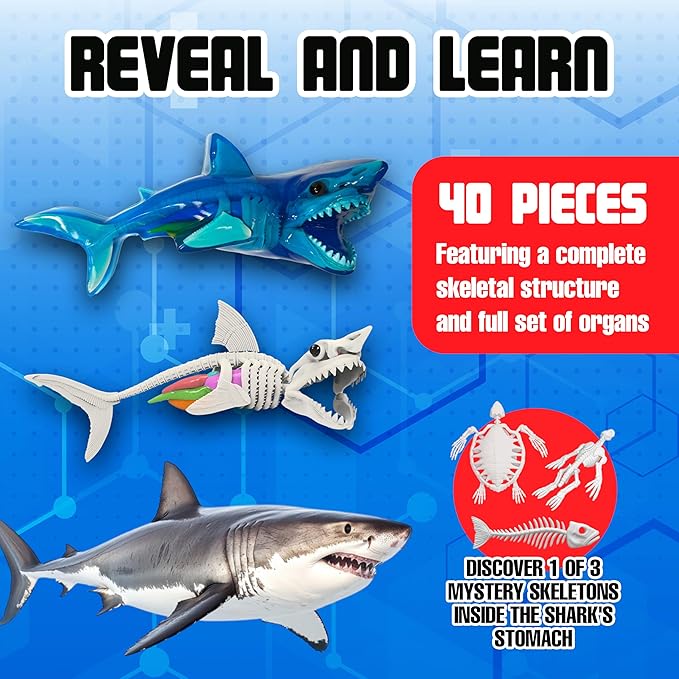 Dissect-It Super Shark Lab Dissection Kit, 40-Piece Realistic Synthetic STEM Science Kit with Tools, Reusable Toy Marine Biology for Kids Ages 6+