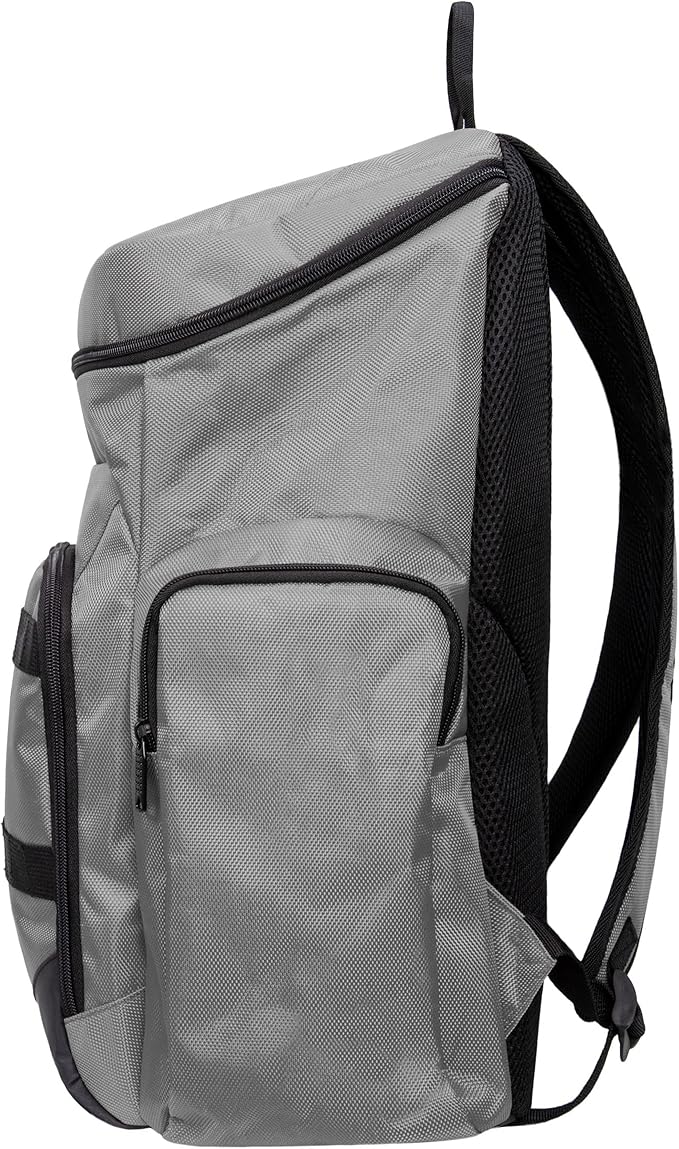 FOCO Detroit Lions NFL Carrier Backpack