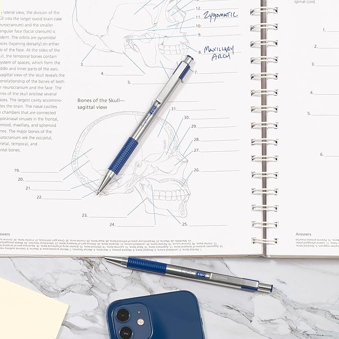 Zebra Pen F-301 Ballpoint Blue Ink Fine Point 0.7mm Pen, Easy-Glide Ink, Stainless Steel Retractable, Non-Slip Grip, Professional Design, Ideal for Office, Journal and Planner Use, 2-Pack (27122)