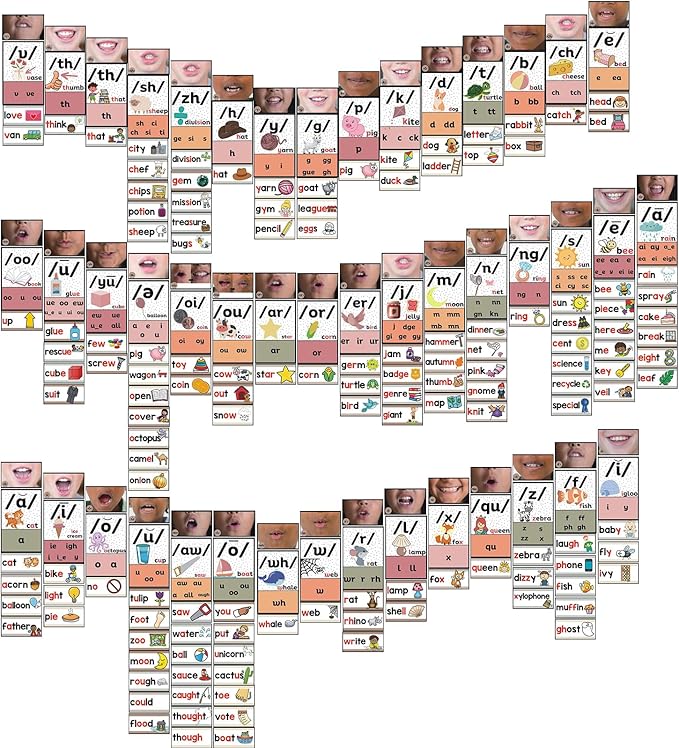 220 Pcs Sound Wall Classroom Phonics Kit Science of Reading Manipulatives Posters for Kindergarten Speech Therapy Material Phonemic Awareness ESL Teaching Material Teaching Guide(Boho)