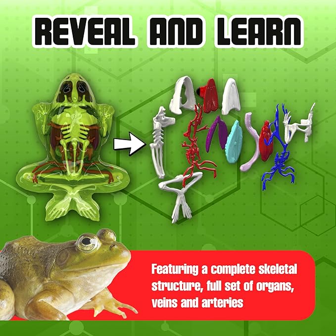 Dissect-It Kit for Kids, Simulated Synthetic Lab Dissection Toy, Frog Super Lab STEM Toys for Animal Science, Biology, and Anatomy