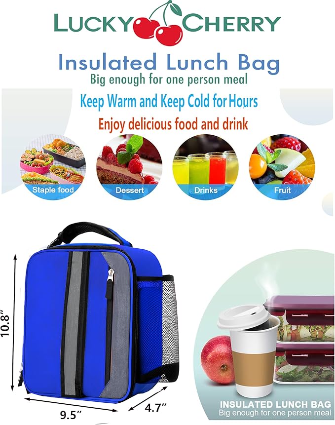 Lunch Box Insulated Lunch bag for Men Teen Kids Boys Adult Portable Stylish Small Lunchbox Special Design for Working Office school Picnic