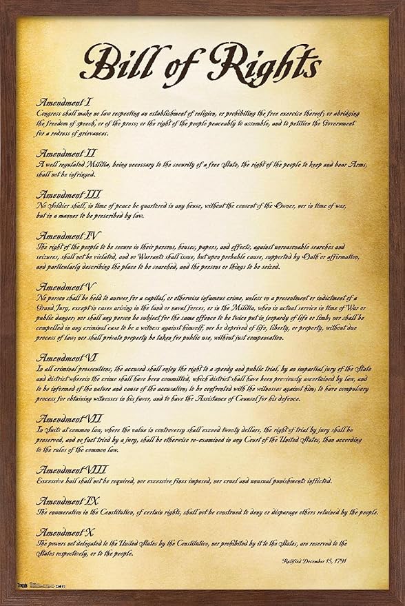 Trends International The United States of America - Bill of Rights Wall Poster, 14.725" x 22.375", Mahogany Framed Version